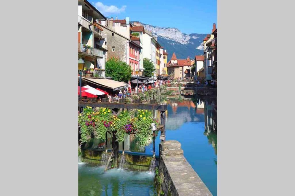Appartamento Le Continental Beau T2 Plein Centre + Parking Annecy Esterno foto