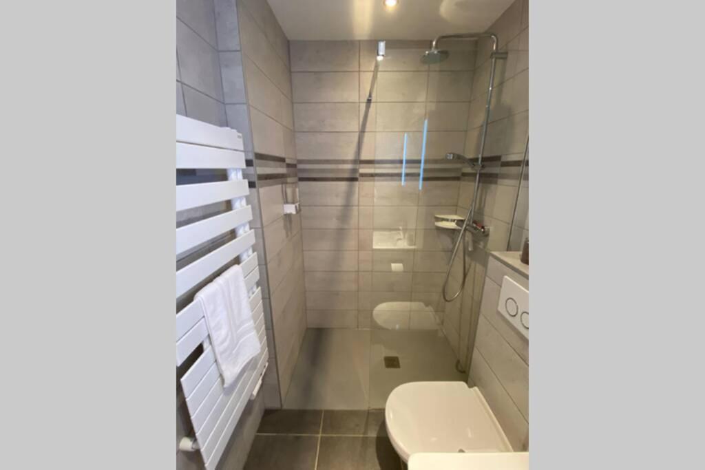 Appartamento Le Continental Beau T2 Plein Centre + Parking Annecy Esterno foto